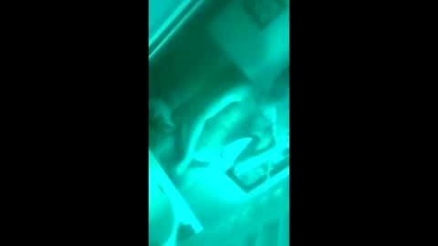 floridaloverboy88 online show from 09/29/25, 05:29