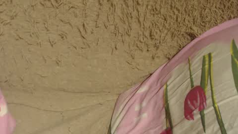 Snapshot of flowercandydoll chatting on 12/09/24, 07:07 say meow and send tip online show from 12/09/24, 07:07