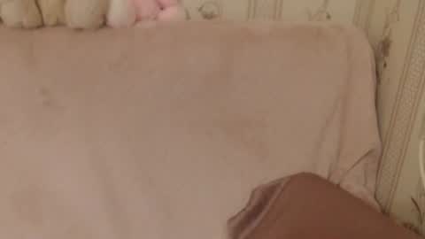 say meow and send tip  online show from 06/26/26, 05:39