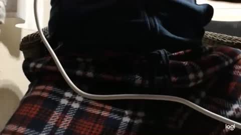 flowerpower622 online show from 01/06/26, 10:23