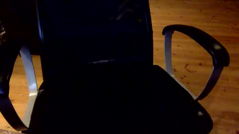 Snapshot of flowmover chatting on 02/26/25, 06:54 flowmover online show from 02/26/25, 06:54