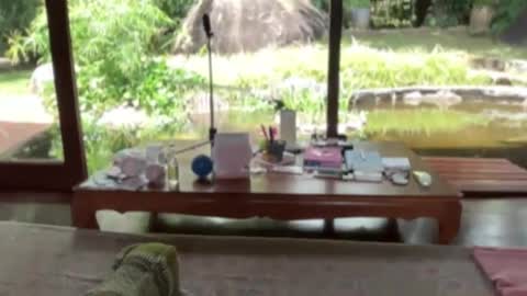 fluffy_bunnyxxx online show from 02/21/25, 05:13