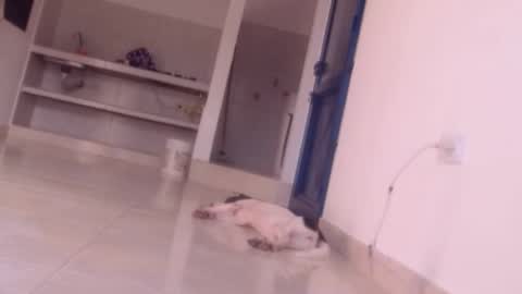 Snapshot of forbidden_games__ chatting on 12/27/24, 10:05 emely and felix online show from 12/27/24, 10:05