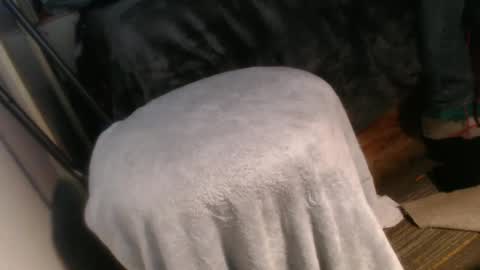 Snapshot of forestnymphpdx chatting on 12/20/24, 10:16 forestnymphpdx online show from 12/20/24, 10:16