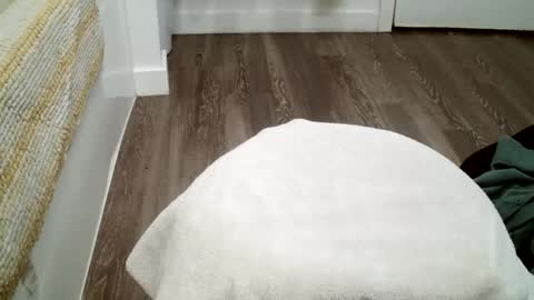 Snapshot of forestnymphpdx chatting on 10/19/25, 12:11 forestnymphpdx online show from 10/19/25, 12:11