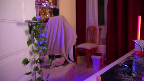 Snapshot of fox_and_dog chatting on 12/02/25, 04:51 Senya subscribe to telegram channel online show from 12/02/25, 04:51