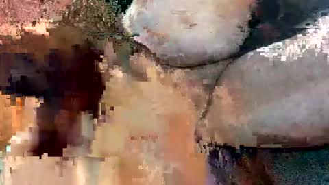 foxhole23 online show from 09/13/25, 10:59