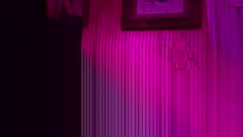 foxrun2 online show from 02/26/26, 11:09