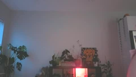 beautiful blair online show from 12/16/25, 11:21