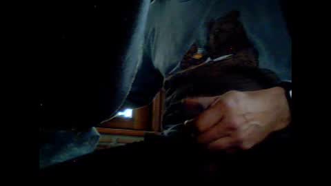 fra  71 online show from 03/08/26, 06:06