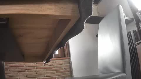 fra  71 online show from 04/01/26, 02:25