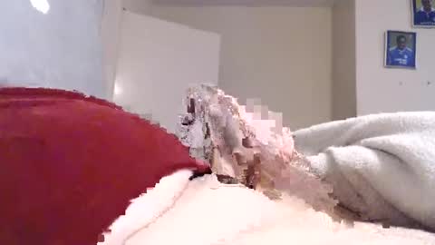 frankiel745 online show from 12/09/24, 12:40