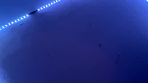 Freakymaa online show from 06/11/26, 04:54