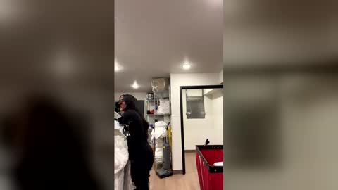 Snapshot of freakyyylatinaa chatting on 01/15/26, 09:36 freakyylatinagoddess online show from 01/15/26, 09:36