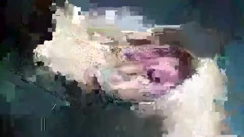 Snapshot of fredddy05 chatting on 11/25/25, 05:51 fredddy05 online show from 11/25/25, 05:51