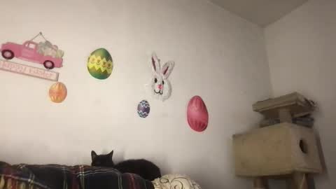 Freddy Foot Balls online show from 03/23/26, 11:09