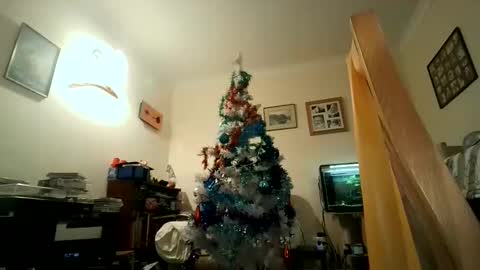 Snapshot of fredlittledick4 chatting on 12/05/24, 07:49 Keith online show from 12/05/24, 07:49