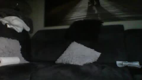 Snapshot of fredo76491 chatting on 10/31/25, 04:52 fredo76491 online show from 10/31/25, 04:52