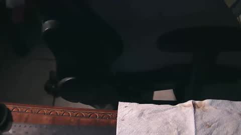 Snapshot of freetryal chatting on 11/21/25, 02:21 freetryal online show from 11/21/25, 02:21