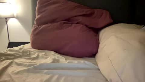 frenchsmoker29 online show from 01/03/25, 08:21