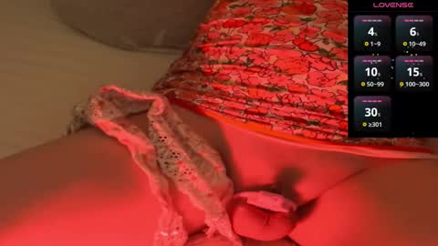 Meadow online show from 12/29/24, 08:58