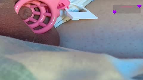 Meadow online show from 03/09/25, 09:35