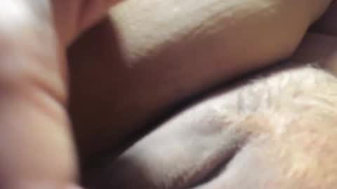 Snapshot of frumcake chatting on 12/06/24, 01:18 FrumCake online show from 12/06/24, 01:18