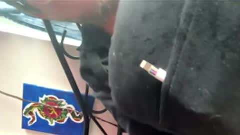 Snapshot of ftm_0 chatting on 12/17/25, 06:25 ftm_0 online show from 12/17/25, 06:25