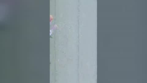 La online show from 03/16/26, 09:24