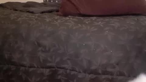 Snapshot of full4cefull chatting on 01/14/25, 07:06 Pizzaz online show from 01/14/25, 07:06