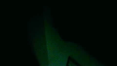 fultonstreet196860 online show from 12/30/24, 06:42