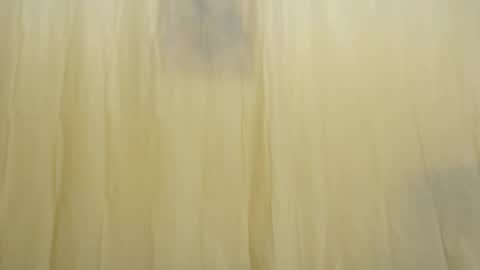 Snapshot of fun4tips chatting on 02/15/25, 03:28 Fun4Tips online show from 02/15/25, 03:28