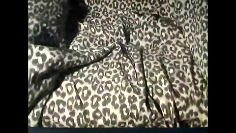 funcyman3 online show from 02/18/25, 06:04