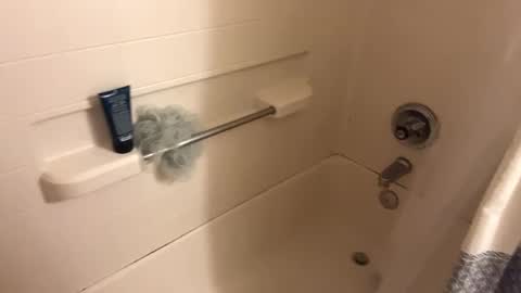 Curious guy showing off online show from 11/02/25, 01:08