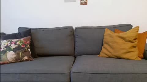 Snapshot of funservice chatting on 12/17/24, 09:17 funservice online show from 12/17/24, 09:17