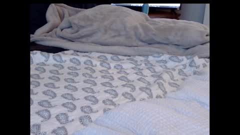 Funtimz16 online show from 02/13/25, 08:34