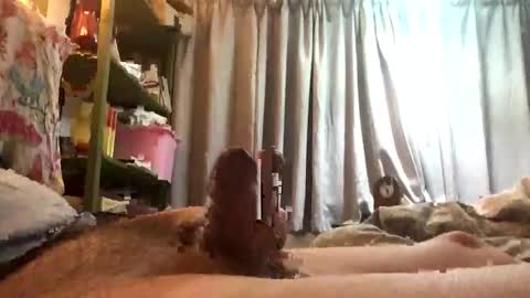 funxuriate online show from 03/01/26, 05:53