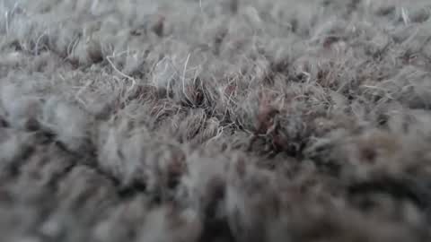 Snapshot of fuzzzman chatting on 01/19/26, 05:11 Mark online show from 01/19/26, 05:11