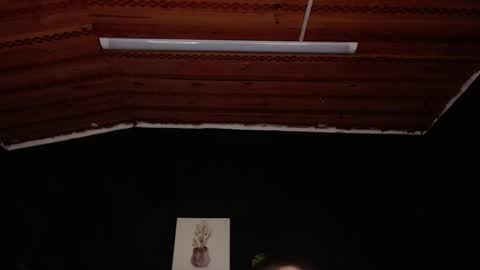 Snapshot of fyreandfox_ chatting on 11/18/25, 06:56 FIRE AND FOX online show from 11/18/25, 06:56