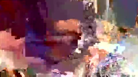 Snapshot of gabibrasil chatting on 10/31/25, 01:50 gaby layla online show from 10/31/25, 01:50