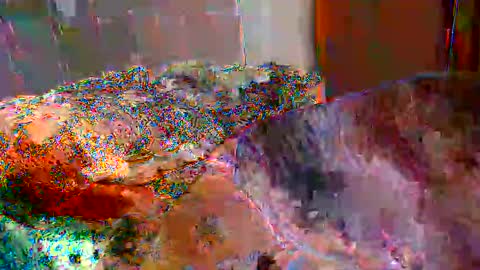 Snapshot of gabibrasil chatting on 11/17/25, 10:04 gaby layla online show from 11/17/25, 10:04