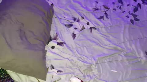 gabriel online show from 03/16/26, 05:44