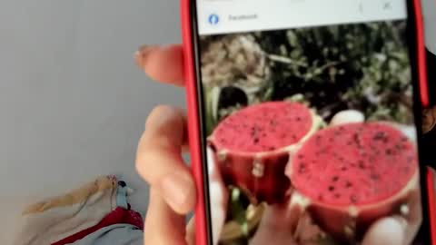 Snapshot of gabriela_duarte chatting on 01/19/25, 12:50 Gabi online show from 01/19/25, 12:50