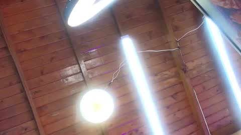 gabriela online show from 10/01/25, 07:09