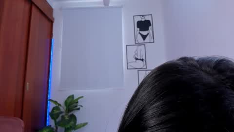    online show from 02/10/26, 07:51