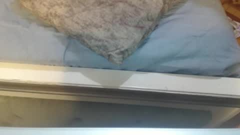 gabysot online show from 04/08/26, 04:07