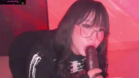 PROXIMO SHOW NOVIEMBRE 16   NEXT SHOW NOVEMBER  16    online show from 01/20/25, 11:54