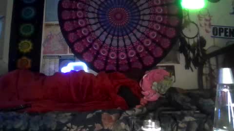 Gardenia online show from 02/04/26, 07:36