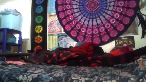 Gardenia online show from 02/22/26, 08:40