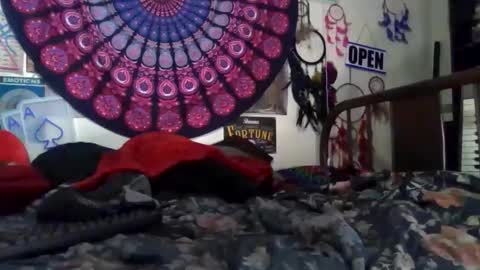 Gardenia online show from 04/04/26, 10:24